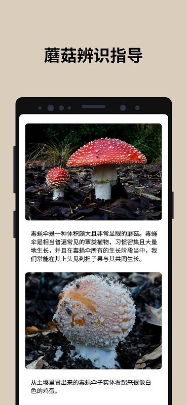 蘑菇识别软件下载
