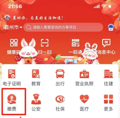 河北冀时办app官方版