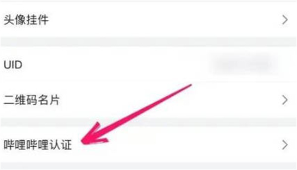 哔哩哔哩如何进行身份认证 申请身份认证步骤教程