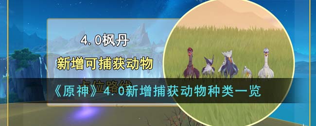 原神4.0加入了什么可捕获动物 新增捕获动物位置介绍