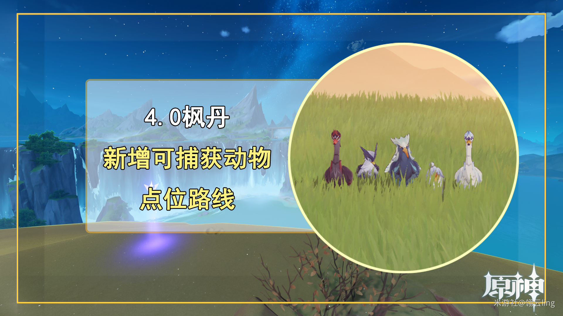 原神4.0加入了什么可捕获动物 新增捕获动物位置介绍