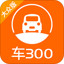 车300二手车官方版