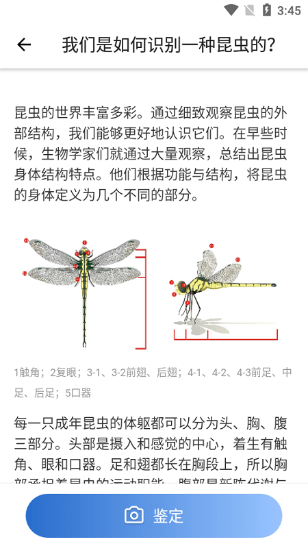 昆虫识别app官方下载