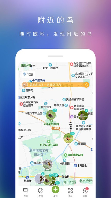 爱鸟app下载