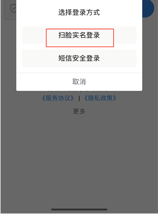 辽宁省电子税务局移动办税app