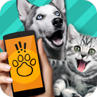 pet translator app