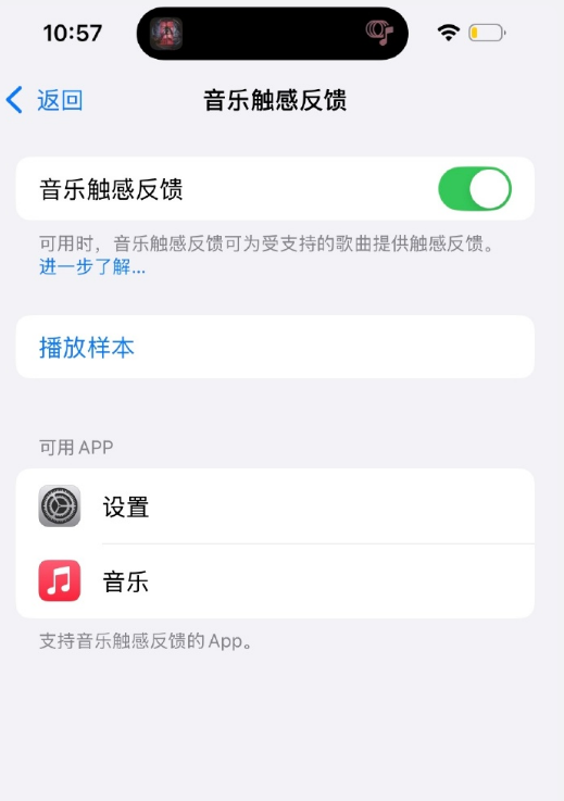 苹果手机如何设置音乐触感反馈功能 音乐触感反馈使用教程