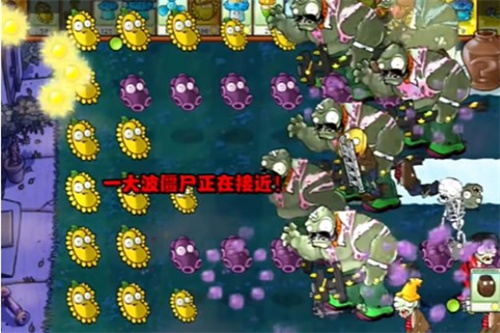 PVZ杂交版益智模式忧郁咖啡豆1怎么玩 通关玩法攻略详解