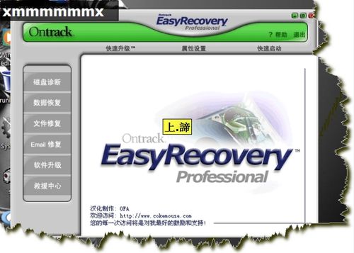 Easyrecovery Pro