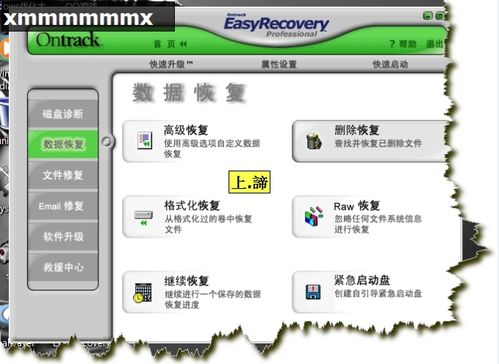 Easyrecovery Pro