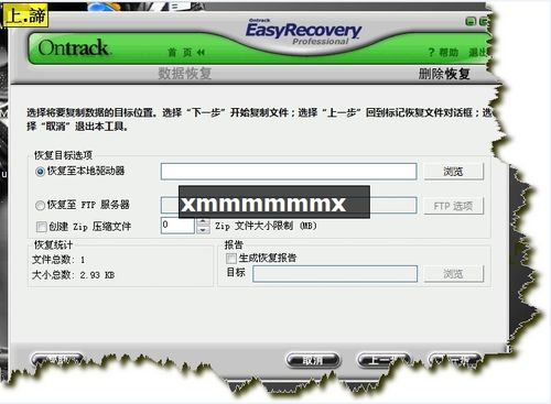 Easyrecovery Pro