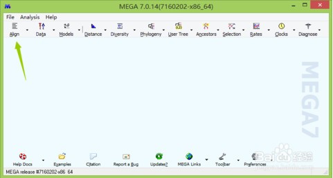 mega进化树